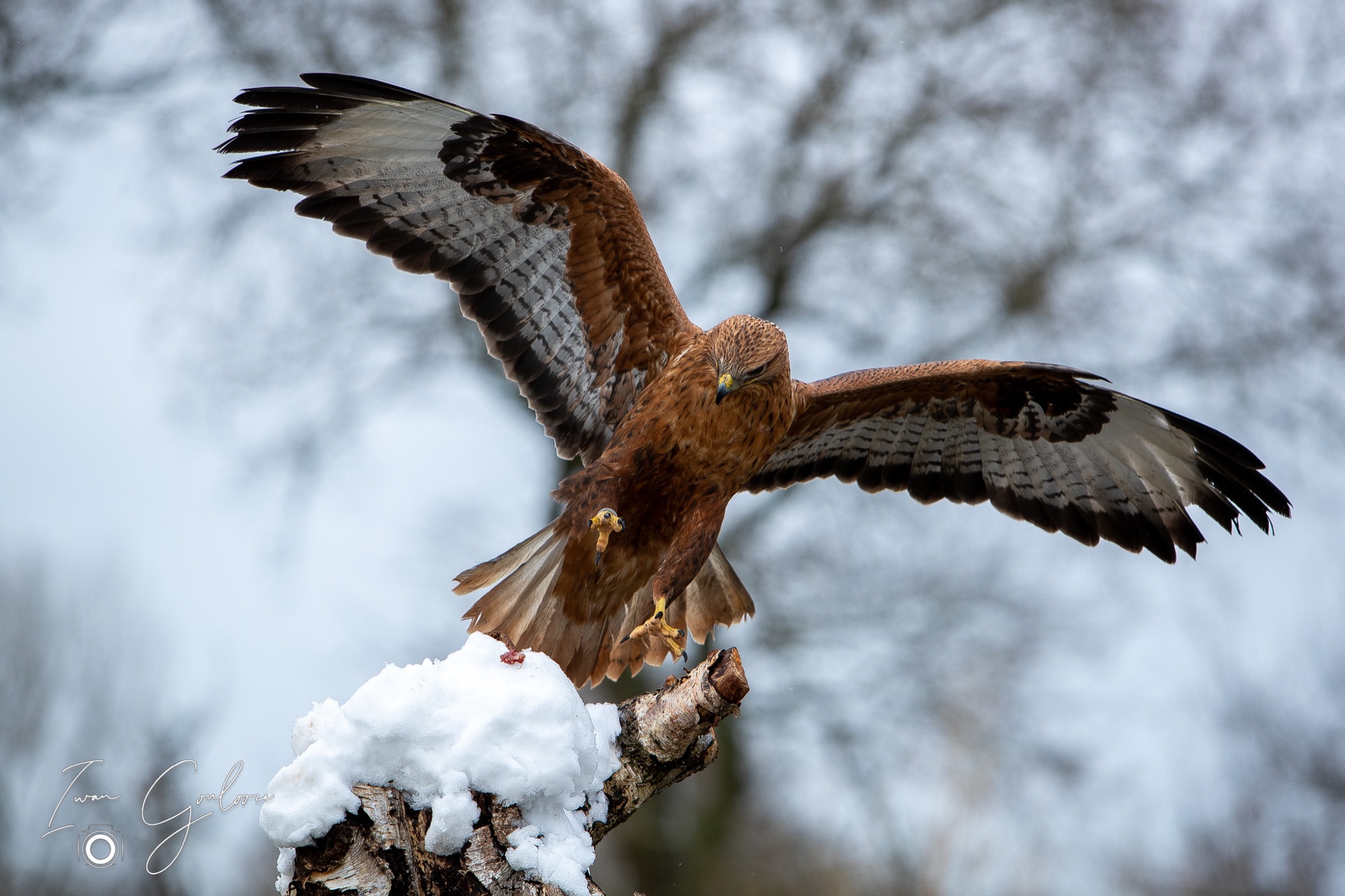 01 april 2022 115859 1DX47224